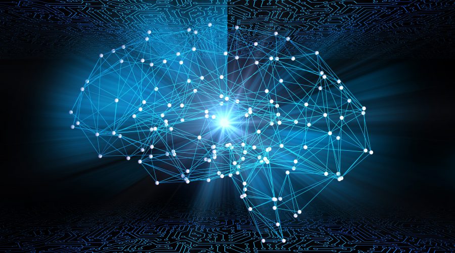 Episode 3 : New Research on the Cerebellum
